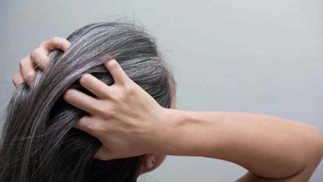 Hair Care Tips: প্রাকৃতিকভাবে চুল কালো করতে সরষের তেলের সঙ্গে এই ২টি জিনিস মেশালেই হবে কেল্লাফতে! Hair Care Tips: প্রাকৃতিকভাবে চুল কালো করতে সরষের তেলের সঙ্গে এই ২টি জিনিস মেশালেই হবে কেল্লাফতে!