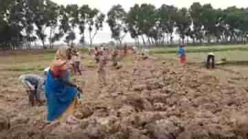 100 Days work: ৪ মাস কাজের পরও মেলেনি টাকা, সরকারের উপর ক্ষোভ উগরালেন ১০০ দিনের কাজের কর্মীরা