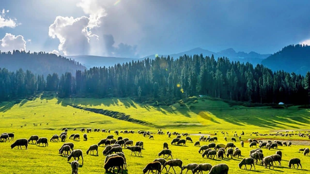 Best Destination in India: ৩০ টপকানোর আগেই জীবেনর সেরা ভ্রমণটি সেরে আসুন! কোথায় কোথায় যাবেন, রইল তার লিস্ট