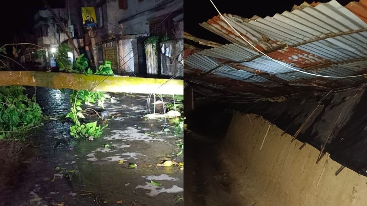 Balurghat: ঝুলছে বিয়ের প্যান্ডেল, জাতীয় সড়কে পড়ে গাছ, কালবৈশাখীতে তছনছ বালুরঘাট Balurghat: ঝুলছে বিয়ের প্যান্ডেল, জাতীয় সড়কে পড়ে গাছ, কালবৈশাখীতে তছনছ বালুরঘাট