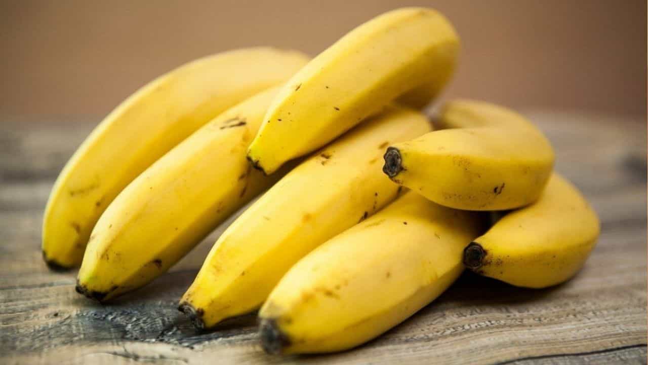 Banana Day 2022: কলা খেলে নাকি ওজন বাড়ে! কলা দিবসে জানুন, কলার আসল পরিচয় Banana Day 2022: কলা খেলে নাকি ওজন বাড়ে! কলা দিবসে জানুন, কলার আসল পরিচয়