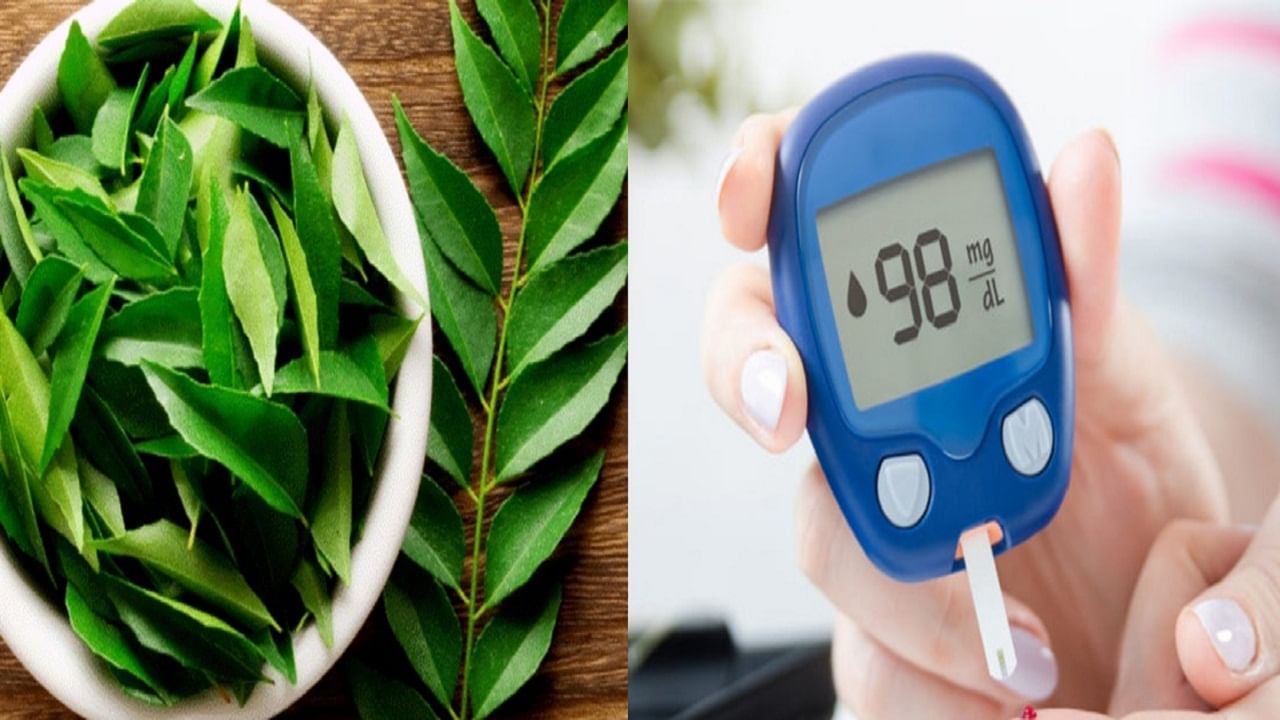 Blood Sugar: উচ্ছে কিংবা ওষুধ নয়, এই ৩ গাছের পাতা চিবিয়ে খেলেই নিয়ন্ত্রণে থাকবে সুগার Blood Sugar: উচ্ছে কিংবা ওষুধ নয়, এই ৩ গাছের পাতা চিবিয়ে খেলেই নিয়ন্ত্রণে থাকবে সুগার