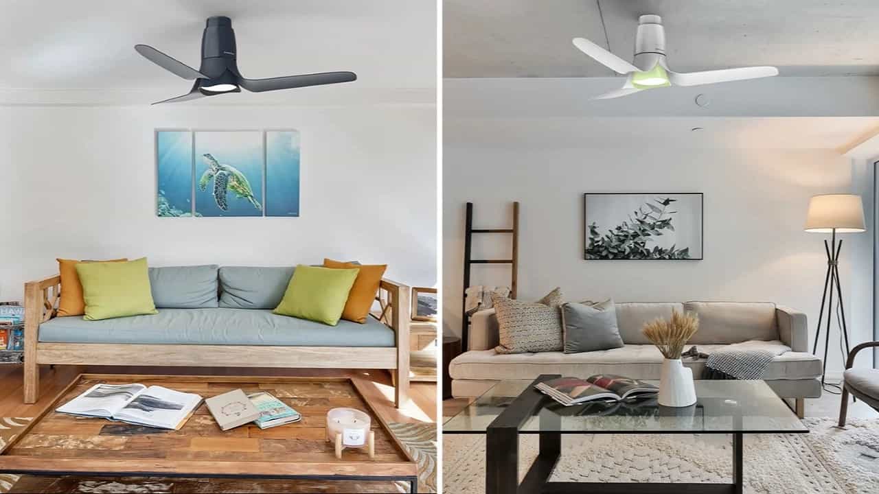 Blossom Ceiling Fan: ফুলের পাপড়ির মতো লুক! ঘর ঠান্ডা করে আলোও জ্বালবে সস্তার এই সিলিং ফ্যান, অনবদ্য ডিজ়াইনে জিতে নিল পুরস্কারও