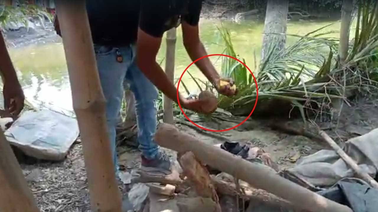 Bomb blast in Diamond Harbour: বল ভেবে পায়ে ঠেলতেই বিকট শব্দ, মুহূর্তে ঝলসে গেল ৪ বছরের শিশুর হাত-পা