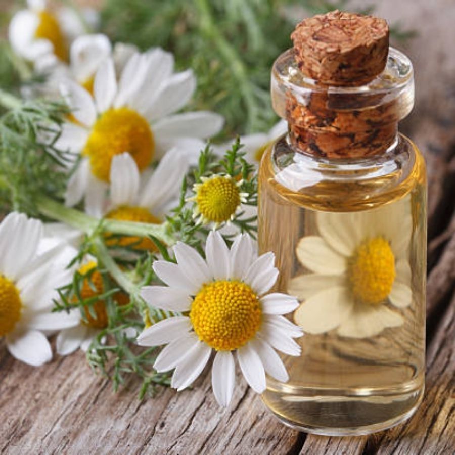 ক্যামোমাইল এসেন্সিয়াল অয়েল- ক্যামোমাইল এসেন্সিয়াল  অয়েল পেশিকে শিথিল করে মাথার ব্যথা থেকে মুক্তি দিতে সাহায্য করে। যদি মানসিক চাপের কারণে মাথার যন্ত্রণা হয় সেই ক্ষেত্রে দুর্দান্ত কাজ করে এই ক্যামোমাইলের এসেন্সিয়াল তেল।