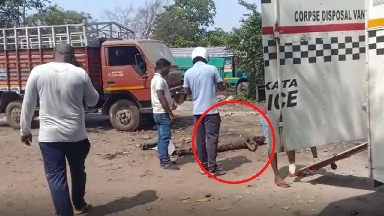 Chowbaga Deadbody Found: গ্যারাজের ভিতরে পড়ে দেহ, রবিবাসরীয় সকালে চাঞ্চল্য চৌবাগায়