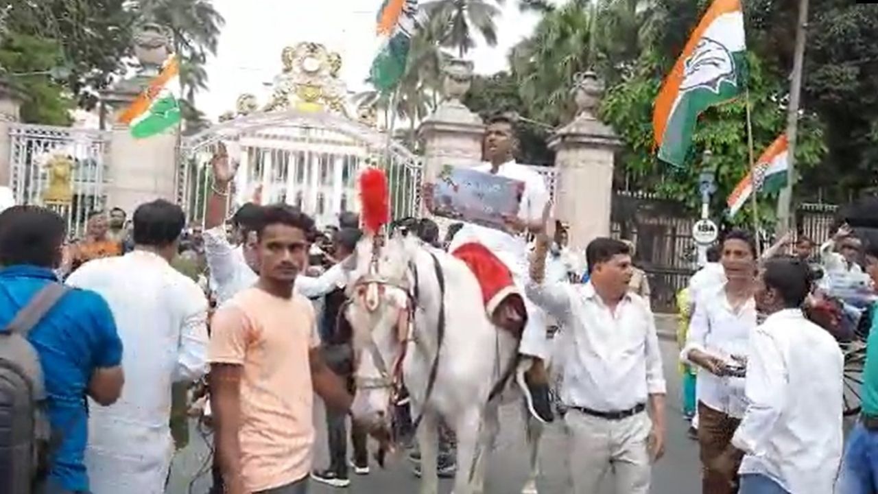 Congress Protest in Kolkata: বাড়ছে জ্বালানির জ্বালা! রাজভবনের সামনে ঘোড়ায় চেপে অভিনব প্রতিবাদে কংগ্রেস