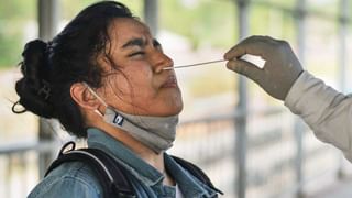 Heatwave in West Bengal: আলহাবিবি… গোটা দক্ষিণবঙ্গে ঘুরছে উট! দেখুন, নেটিজেন পাড়ায় ‘গেঞ্জি ভেজা’ খিল্লি