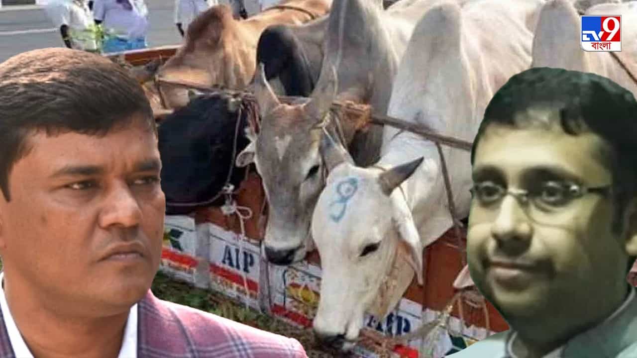 ED Probe in Cow Smuggling Case: গরু পাচারকাণ্ডে ED চার্জশিট দিতেই গ্রেফতারি পরোয়ানা জারি বিনয়-বিকাশ-এনামূলের বিরুদ্ধে ED Probe in Cow Smuggling Case: গরু পাচারকাণ্ডে ED চার্জশিট দিতেই গ্রেফতারি পরোয়ানা জারি বিনয়-বিকাশ-এনামূলের বিরুদ্ধে