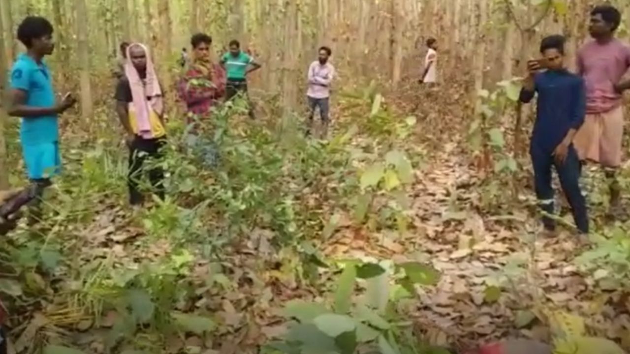 Elephant Attack: শুঁড়ে তুলেই সোজা আছাড় নিচে, রবিবারের সকালেই হাতির হানার মর্মান্তিক মৃত্যু মহিলার