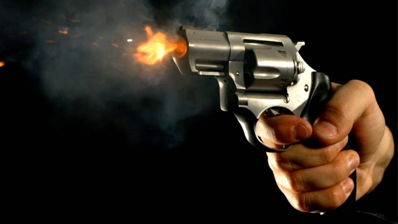 UP Wedding Mishap: পাত্র ঘোড়ায় বসতেই গুলি চালাল দিগভ্রষ্ট বরকর্তা, তারপর যা হল...