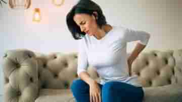 Postpartum Joint Pain: প্রসবের পর থেকেই শুরু হয়েছে নিতম্ব, কোমরে ব্যথা! কেন হয় এমন?