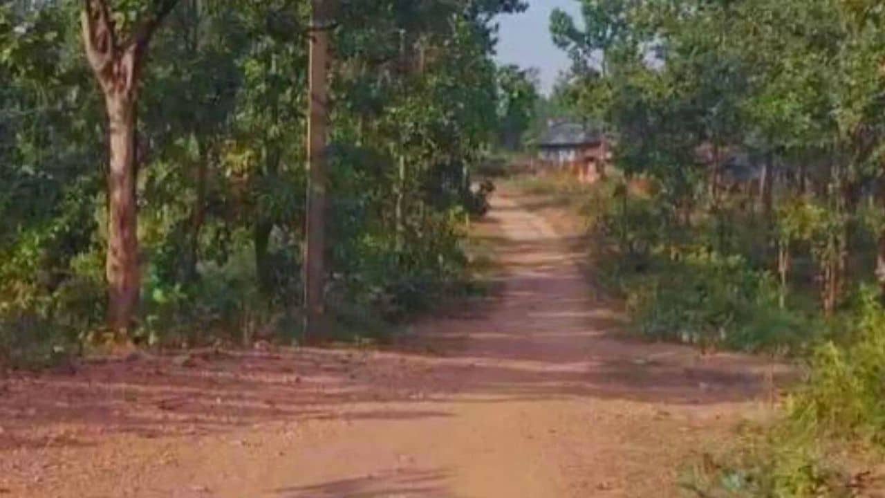 High Alert in Jangal Mahal: জঙ্গলমহলে বড়সড় নাশকতার ছক কষছে মাওবাদীরা, সন্ধে ৬ টার আগেই নেতাদের বাড়ি ফেরার পরামর্শ পুলিশের