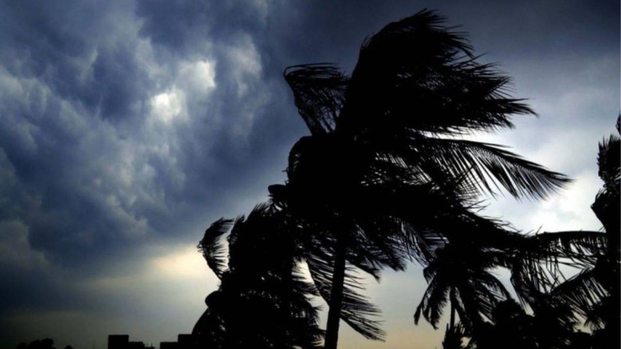West Bengal Weather Update: টানা ৫০ দিন বৃষ্টির মুখ দেখেনি কলকাতা, সুখবরটা জানিয়েই দিল হাওয়া অফিস