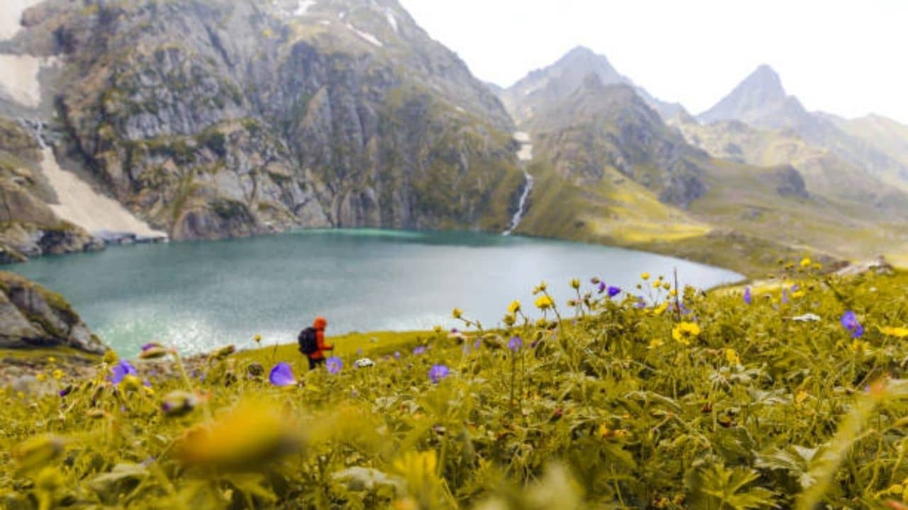 Kashmir Great Lakes: পায়ে হেঁটে কাশ্মীর ঘুরে দেখেছেন? ভূস্বর্গের অন্য স্বাদ আস্বাদনে একবার ট্রেক করেই দেখুন