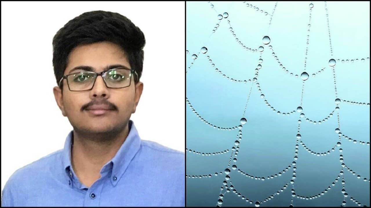 Apple Award: কী এমন রয়েছে! এই ছবি তুলেই অ্যাপলের কাছ থেকে পুরস্কার জিতলেন ভারতীয় সফ্টওয়্যার ইঞ্জিনিয়ার