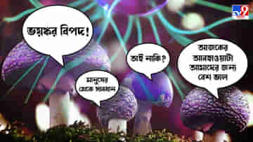 Mushrooms Talk To Each Other: মানুষের মতো ভাষার প্রয়োগ করেই একে অপরের সঙ্গে কথা বলে মাশরুমরা, নতুন গবেষণায় অবাক করা তথ্য