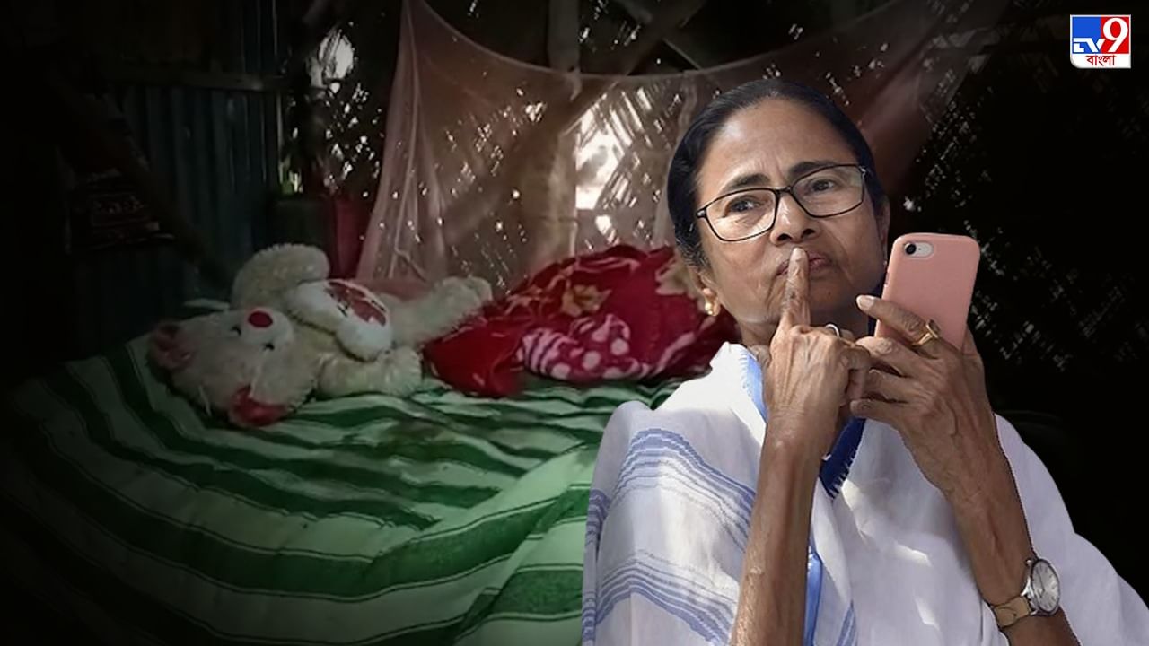 CM Mamata Banerjee On Hanskhali Case:  'ধর্ষিত হয়েছিল নাকি প্রেগন্যান্ট না লাভ অ্যাফেয়ার্স?', হাঁসখালি কাণ্ডে প্রশ্ন তুললেন মমতা
