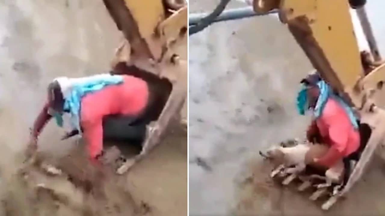 Viral Video: বুলডোজ়ার যখন বিল্ডিং ভাঙছে, তখনই তাতে চড়ে নিজের প্রাণ বিপন্ন করে পথকুকুরকে বাঁচালেন এক ব্যক্তি