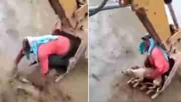 Viral Video: বুলডোজ়ার যখন বিল্ডিং ভাঙছে, তখনই তাতে চড়ে নিজের প্রাণ বিপন্ন করে পথকুকুরকে বাঁচালেন এক ব্যক্তি