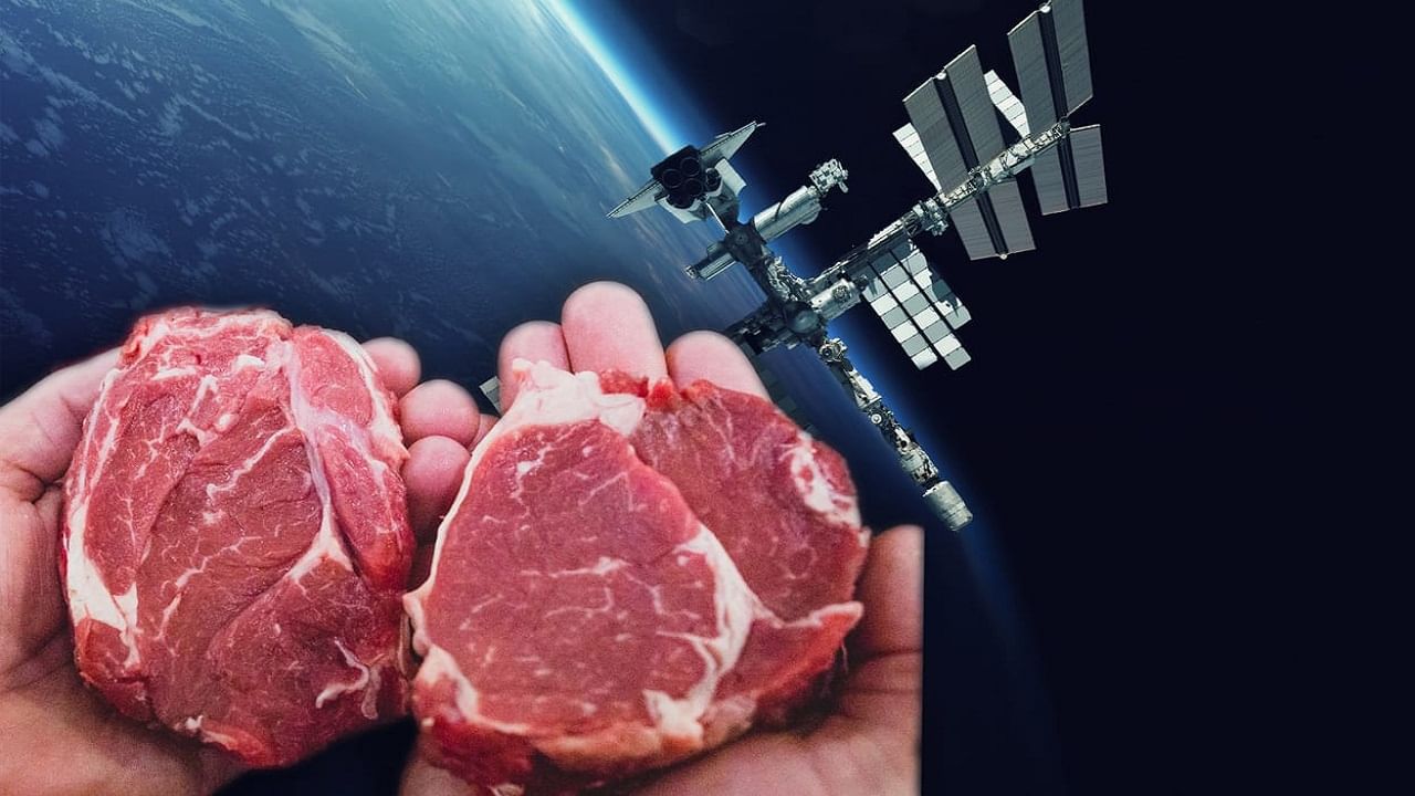 Cultured Meat In Space: গাছপালার পর এবার মহাকাশে মাংস উৎপাদন করবে ইউরোপ! কী ভাবে জানেন?