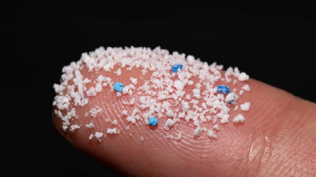 Microplastics In Human Lungs: মানুষের ফুসফুসে মাইক্রোপ্লাস্টিকের সন্ধান পেলেন বিজ্ঞানীরা, অজান্তেই বিপজ্জনক শ্বাস নিয়ে চলেছি আমরা! Microplastics In Human Lungs: মানুষের ফুসফুসে মাইক্রোপ্লাস্টিকের সন্ধান পেলেন বিজ্ঞানীরা, অজান্তেই বিপজ্জনক শ্বাস নিয়ে চলেছি আমরা!