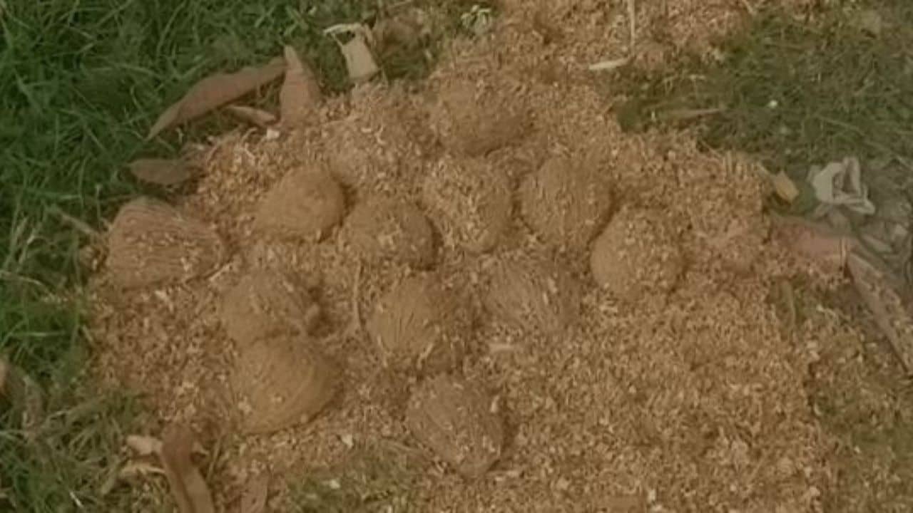 Bomb Recover in Murshidabad: এক সপ্তাহ ঘুরতে না ঘুরতেই একই জায়গা থেকে ফের তাজা বোমা উদ্ধার মুর্শিদাবাদে!