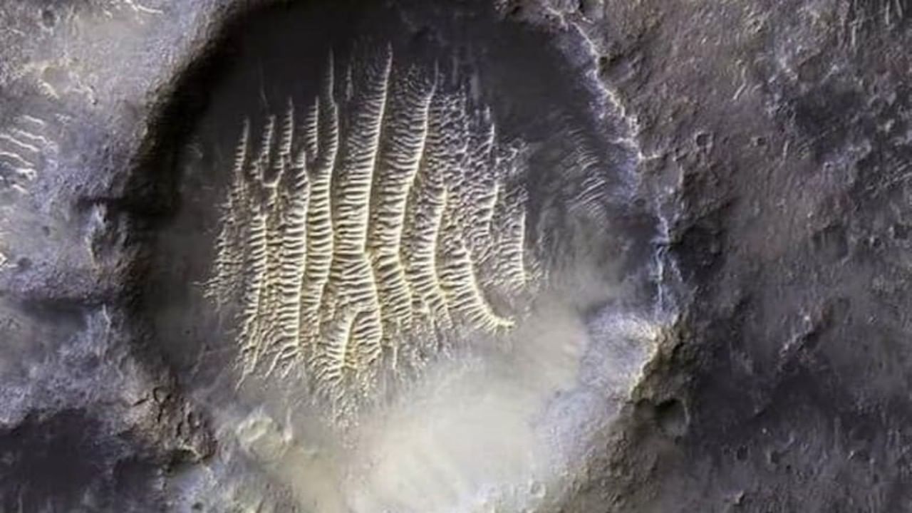 Viral Image of Mars : মঙ্গলের বুকে ওটা কি এলিয়েনের পায়ের ছাপ? নাসার হাই রেজোলিউশন ছবিতে স্তম্ভিত নেটপাড়া