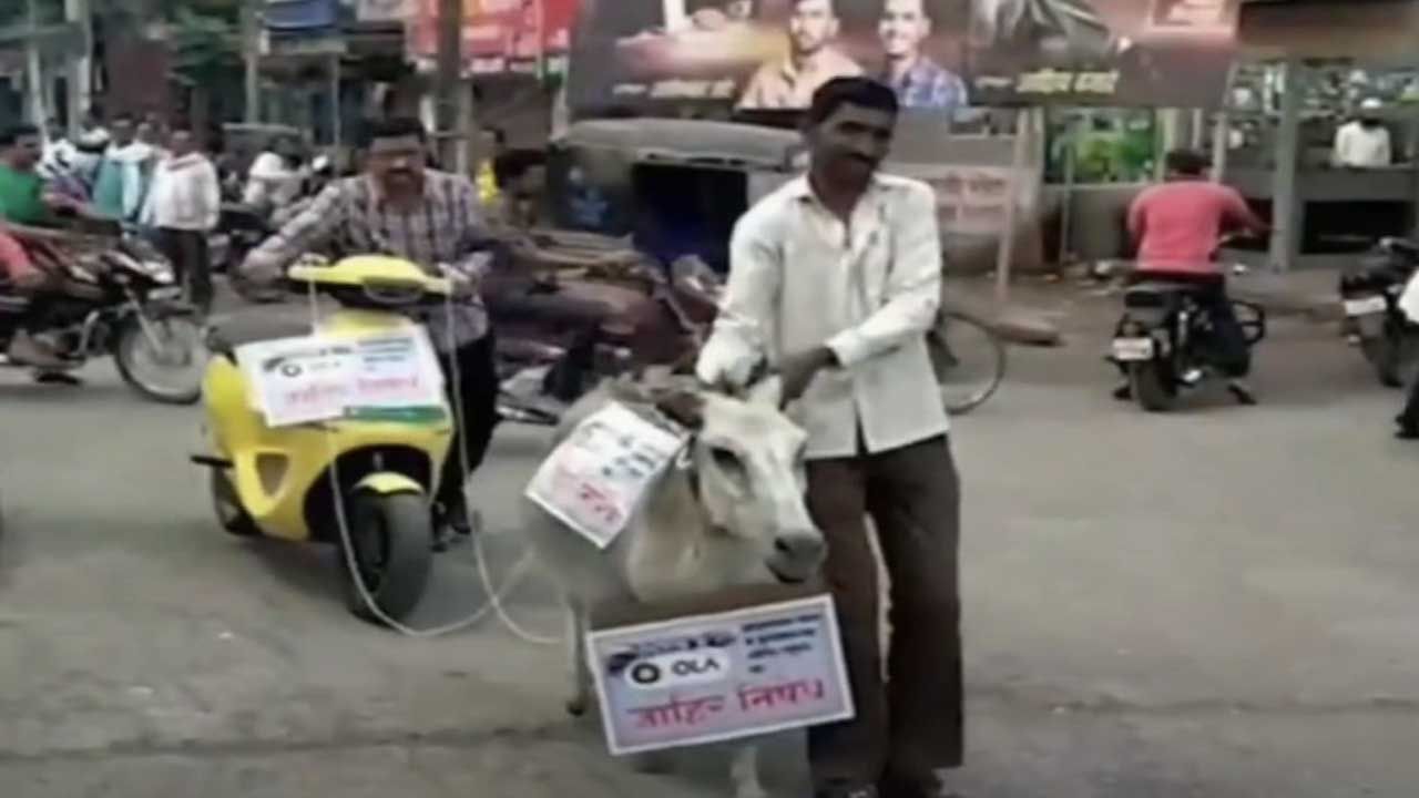 Ola Electric Scooter: গাধার সঙ্গে ওলার ইলেকট্রিক স্কুটার বেঁধে শহর ঘুরলেন মহারাষ্ট্রের ব্যক্তি! কিন্তু কেন?