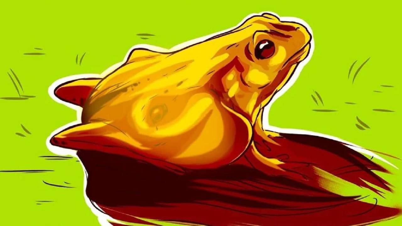 Optical Illusion: ব্যাঙ নাকি ঘোড়া, কী দেখতে পাচ্ছেন ছবিটায়? সেই দৃষ্টিভঙ্গিই বলে দেবে, আপনি আসলে কেমন মানুষ