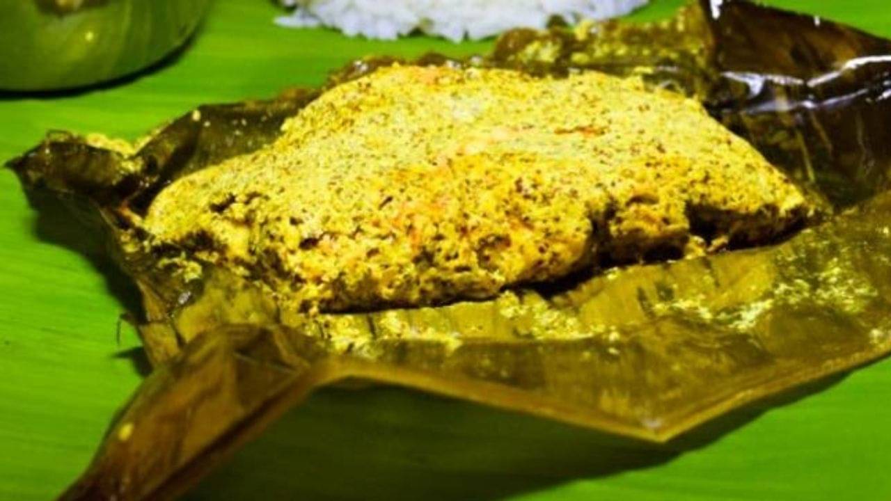 Recipe: স্বাদে দ্বিগুণ, স্বাস্থ্যকরও বটে! শনিবার দুপুরের পাতে পড়ুক নিরামিষ পনির পাতুরি
