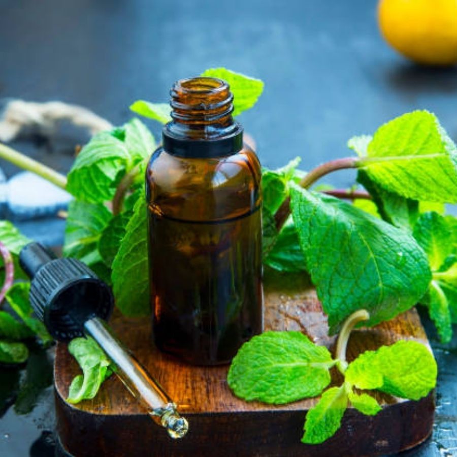 পিপারমিন্ট এসেন্সিয়াল অয়েল- পিপারমিন্ট এসেন্সিয়াল অয়েল মাথার যন্ত্রণা থেকে আরাম দিতে সাহায্য করে। এমনকি এই এসেন্সিয়াল অয়েল মাইগ্রেনের চিকিৎসার জন্যও কার্যকর। এতে উপস্থিত মেন্থল পেশী শিথিল করে ব্যথা কমাতে সাহায্য করে।