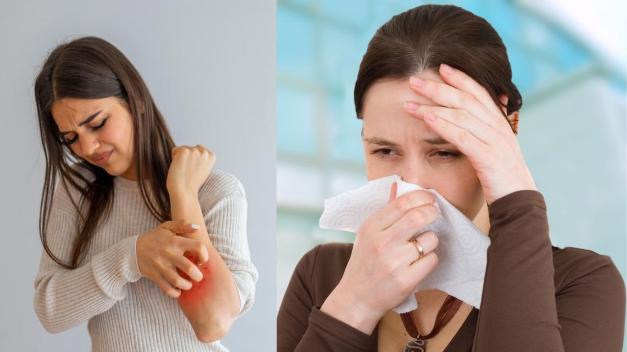 Risk Of Allergy: অ্যালার্জি আছে? সাবধান! সঙ্গে বাড়ছে উচ্চ রক্তচাপ, হার্টের অসুখের ঝুঁকিও