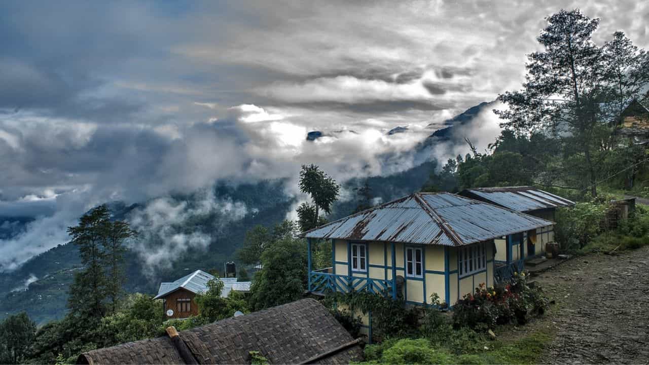 Kalimpong: সুহানা সফরে সঙ্গী হোক তিস্তা! ন্যাওড়াভ্যালির কোলে ছুটি কাটান সাংসেরে Kalimpong: সুহানা সফরে সঙ্গী হোক তিস্তা! ন্যাওড়াভ্যালির কোলে ছুটি কাটান সাংসেরে