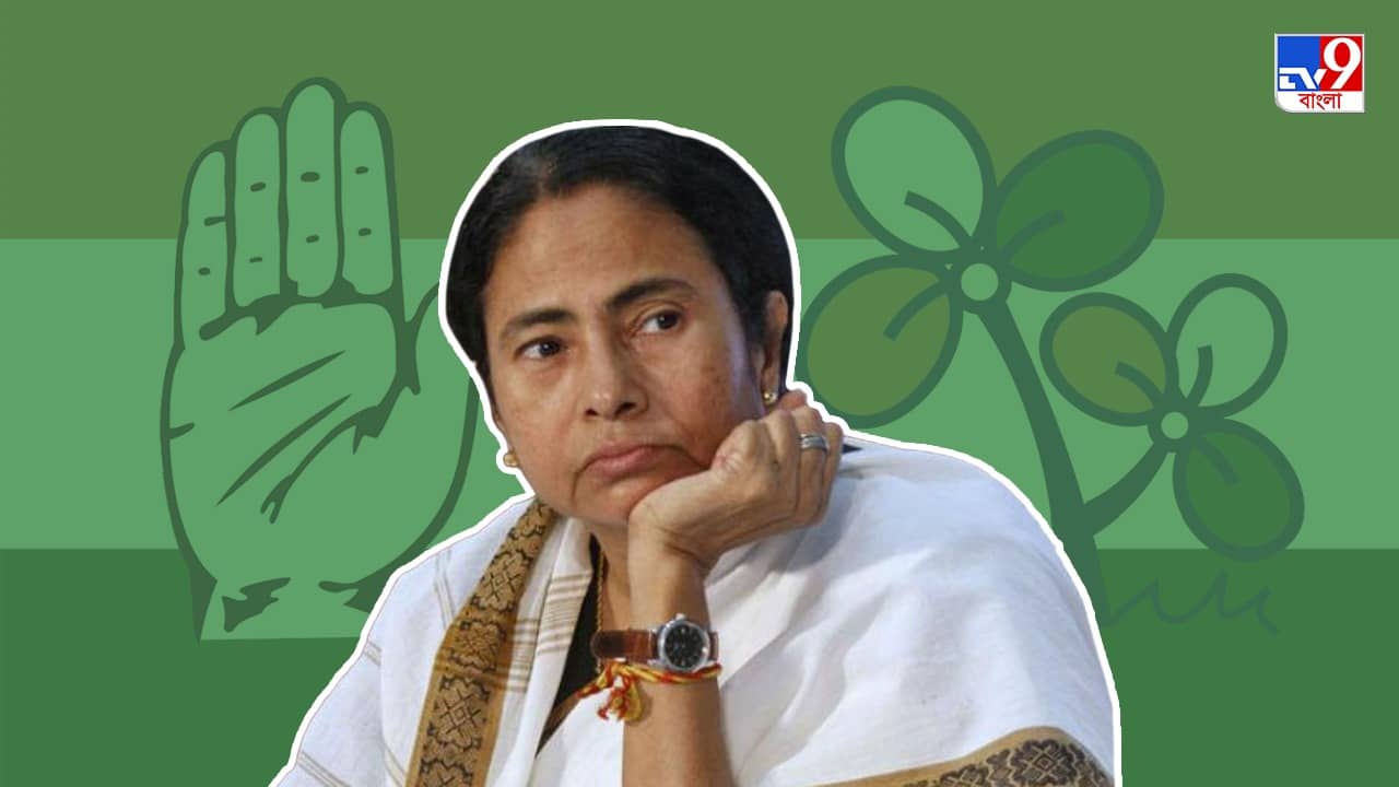 Meghalaya TMC MLA: কংগ্রেসে ফিরতে পারেন ১২ তৃণমূল বিধায়ক, জল্পনা সত্যি হলে ঝুলি শূন্য জোড়া ফুলের