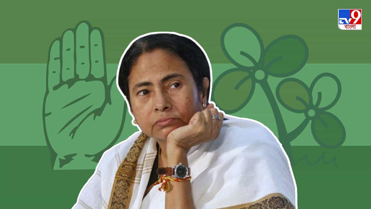 Meghalaya TMC MLA: কংগ্রেসে ফিরতে পারেন ১২ তৃণমূল বিধায়ক, জল্পনা সত্যি হলে ঝুলি 'শূন্য' জোড়া ফুলের