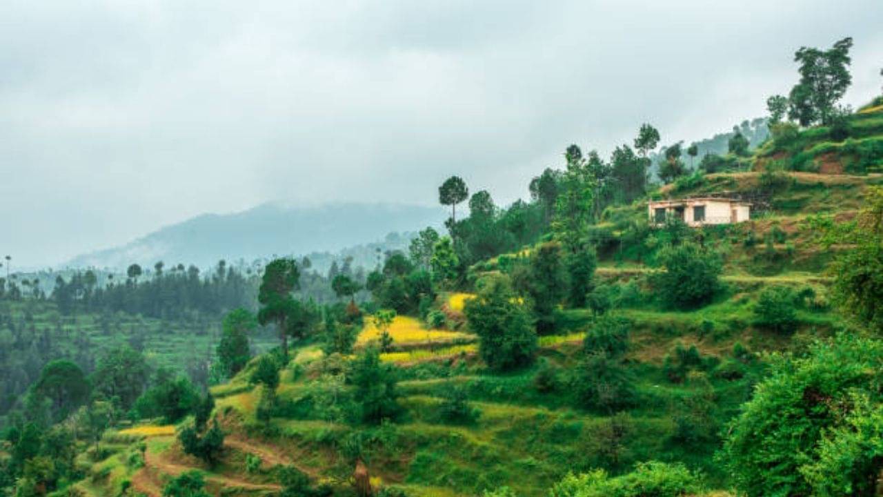 Uttarakhand: গ্রীষ্মের ছুটি কাটাতে পাড়ি দিন পাহাড়ে! দেবভূমির ৫টি জায়গা ঘুরে আসুন মাত্র ৫০০০ টাকায়