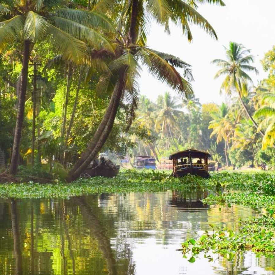 আলেপ্পি- ব্যাকওয়াটার ও হাউসবোটের শহর। গ্রীষ্মকালে আলেপ্পির প্রাণবন্ত ও রঙিন সৌন্দর্য ক্যামেরাবন্দি করে রাখাটাও  একটা রোমাঞ্চকর অনুভূতি। কেরালার রোম্যান্চিক রাজধানী হিসেবে আলেপ্পির জনপ্রিয়।