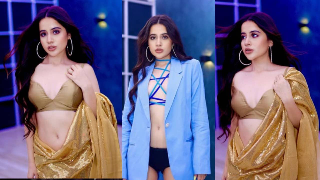 Viral News: আপনার ইমেজ খুব নোংরা, কাস্টিং ডিরেক্টরের মন্তব্য শুনে কী বলেছিলেন অভিনেত্রী উর্ফি জাভেদ?