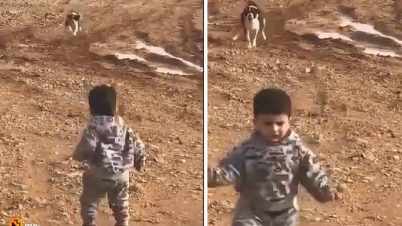 Viral Video: বুক চিতিয়ে কুকুরের দিকে এগিয়ে গেল বাচ্চা ছেলে, তারপর যা হল...