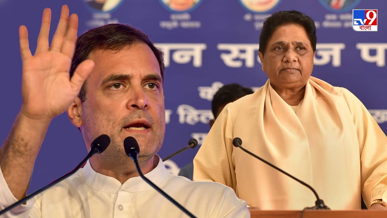 Rahul Gandhi slams Mayawati : ‘আপনিই মুখ্যমন্ত্রী হবেন’, রাহুল গান্ধীর প্রস্তাবে কেন রাজি হননি মায়াবতী?