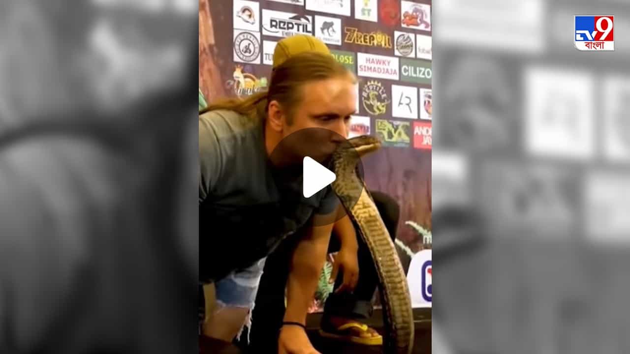 King Cobra: কিং কোবরার মাথায় চুমু খেতে গেলেন ব্যক্তি! তারপর যা হল, ভিডিয়ো দেখলে গায়ে কাঁটা দেবে... King Cobra: কিং কোবরার মাথায় চুমু খেতে গেলেন ব্যক্তি! তারপর যা হল, ভিডিয়ো দেখলে গায়ে কাঁটা দেবে...