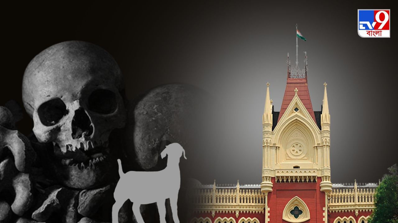 Calcutta High Court : কঙ্কাল কার? ছাগল চুরি ঘিরে বিবাদে 'খুন', স্বামীর 'খোঁজে' হাইকোর্টে মহিলা