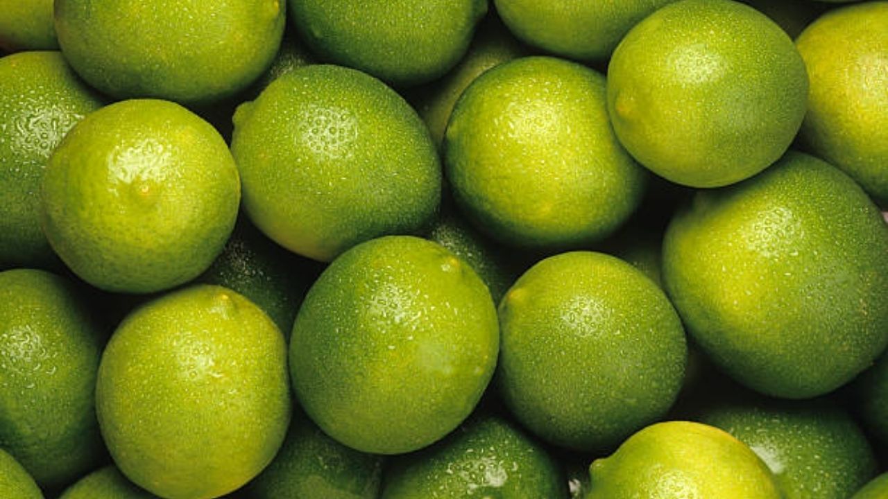 Benefits Of Lemon: দাম বাড়লেও কমেনি লেবুর উপকারিতা! গরমে সুস্থ থাকার মোক্ষম দাওয়াই এখন পাতিলেবুই