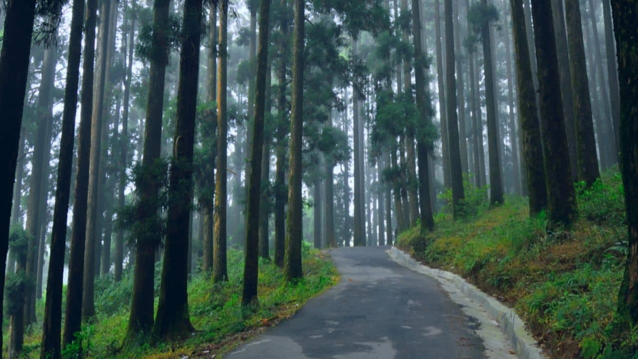 North Bengal: নামমাত্র দার্জিলিং, উত্তরকন্যার অফবিট ভ্রমণে বাঙালিদের এত হিড়িক কেন?