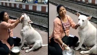 Viral: কনের সাজে পরীক্ষায় বসে ভাইরাল হয়েছিলেন গত বছর, এতদিন পর সামনে এল আসল সত্যিটা