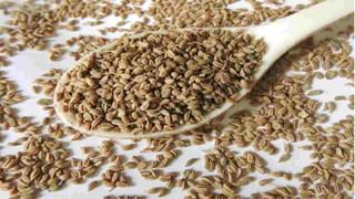 Ginger Tea: এই চা খেয়েই দিন শুরু হয় ইয়ামির, সুস্থ থাকতে চুমুক দিন আপনিও