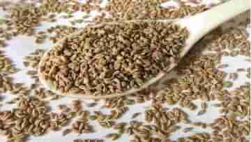 Ajwain Seeds: না জেনেই রোজ কাঁড়ি কাঁড়ি জোয়ান খাচ্ছেন? হতে পারে চরম ক্ষতি!