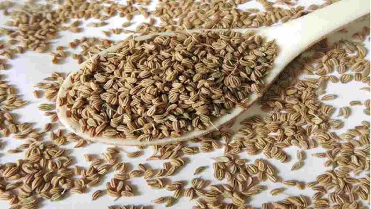 Ajwain Seeds: না জেনেই রোজ কাঁড়ি কাঁড়ি জোয়ান খাচ্ছেন? হতে পারে চরম ক্ষতি!