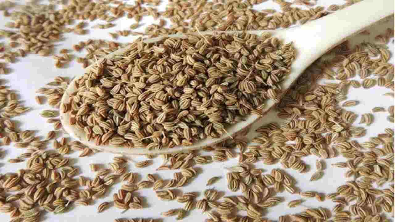 Ajwain Seeds: না জেনেই রোজ কাঁড়ি কাঁড়ি জোয়ান খাচ্ছেন? হতে পারে চরম ক্ষতি! Ajwain Seeds: না জেনেই রোজ কাঁড়ি কাঁড়ি জোয়ান খাচ্ছেন? হতে পারে চরম ক্ষতি!